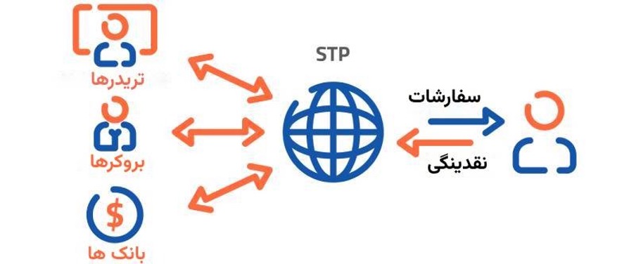بروکر STP چیست؟